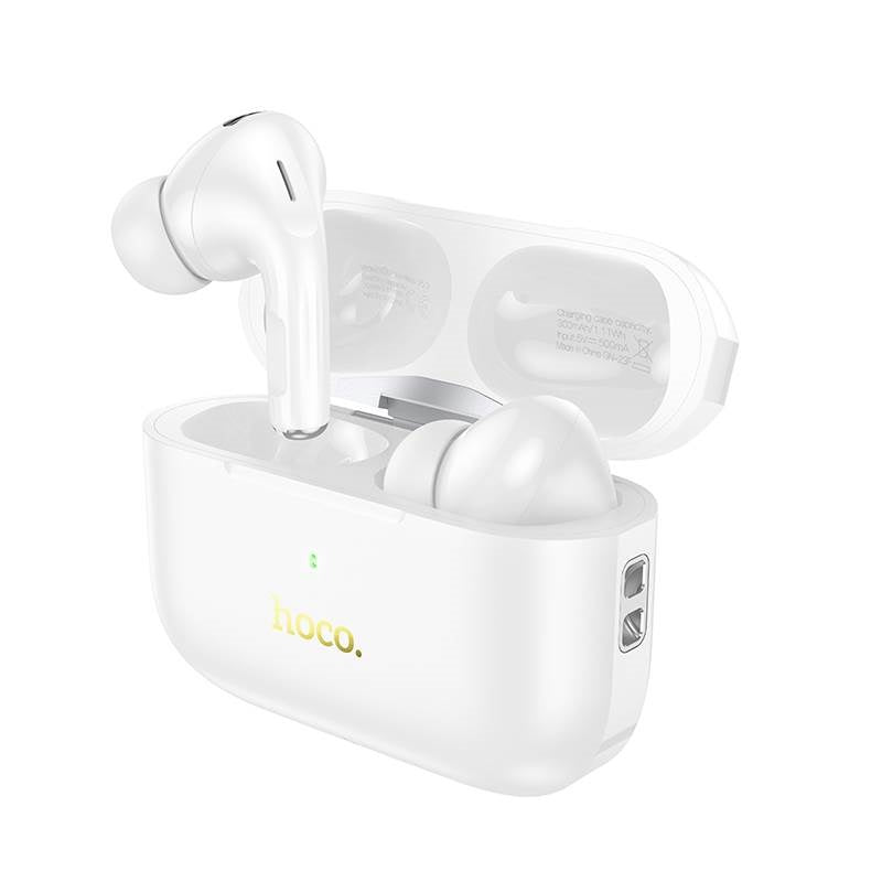 Hoco EW56 Plus ANC True Wireless Earphones